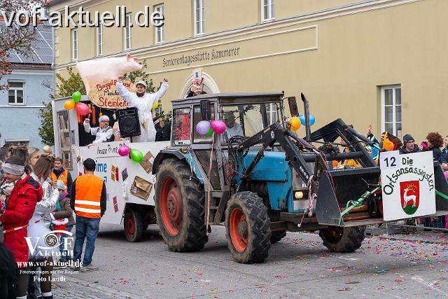 Foto Laudi_Pleintinger_Faschingszug-206220.jpg